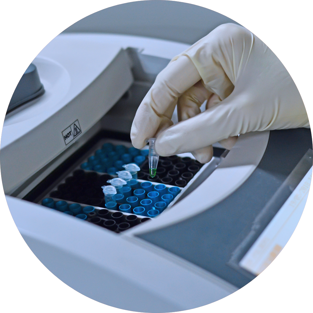Enhance quality control with plasmid sequencing
