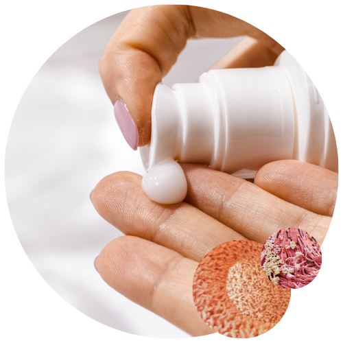 Microbiome cutané Application d'une crème