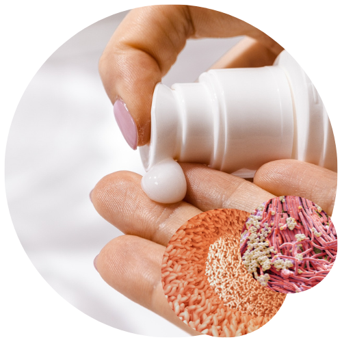 Application de produit cosmétique pour le microbiome cutané