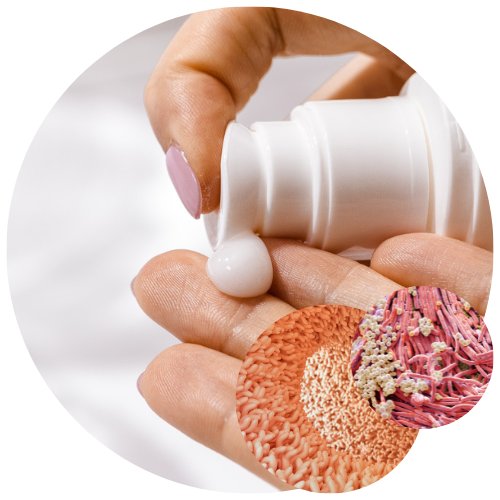 Application de produit cosmétique pour le microbiome cutané Application de produit cosmétique pour le microbiome cutané
