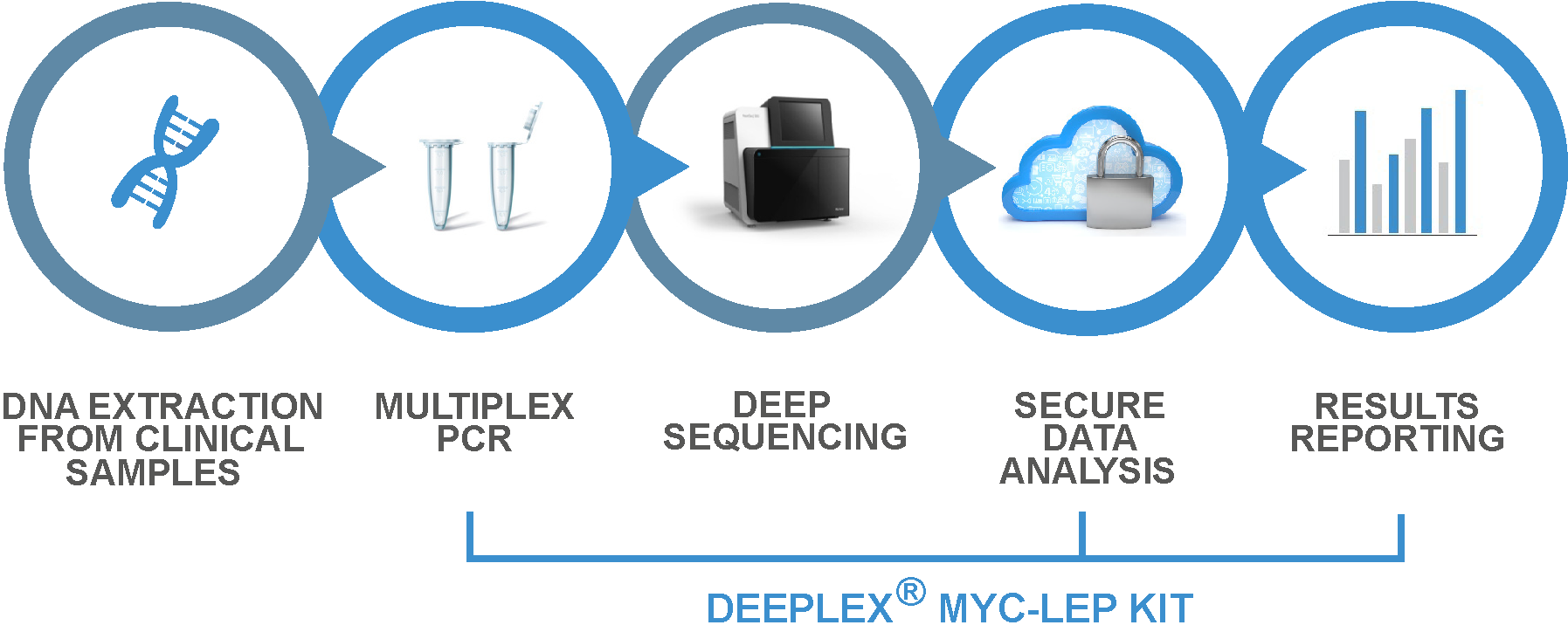 Deeplex Myc Lep Steps