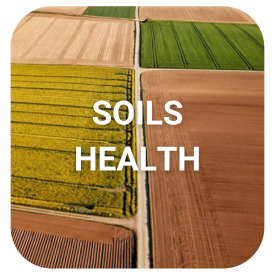 Discover long read applications for soils health