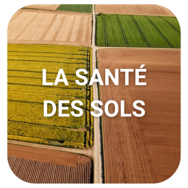 Découvrez les applications du long read pour la santé des sols