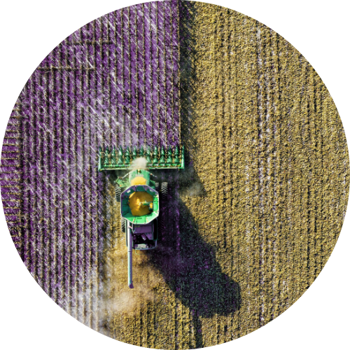 Champ cultivé / paysage