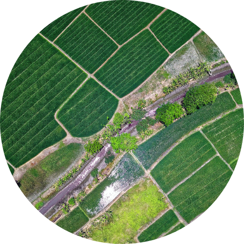 Vue aérienne de sols agricoles avec un cours d’eau et quelques arbres, illustrant la diversité des usages et les applications génomiques au microbiome des sols