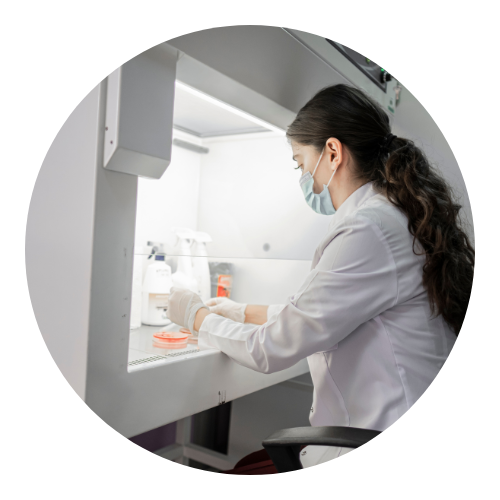 Recherche et conformité réglementaire : microbiome cutané Recherche et conformité réglementaire : microbiome cutané