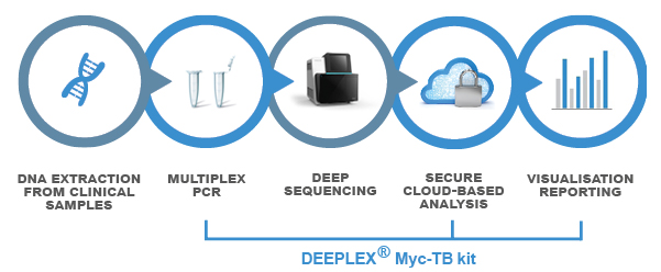 DEEPLEX MycTB SOLUTION steps 2
