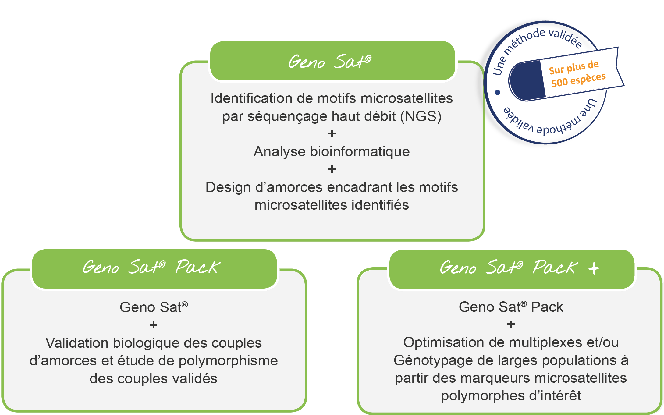 Génotypage de microsatellites par GenoScreen