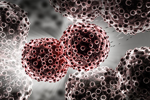 La génomique au service de l'oncologie La génomique au service de l'oncologie