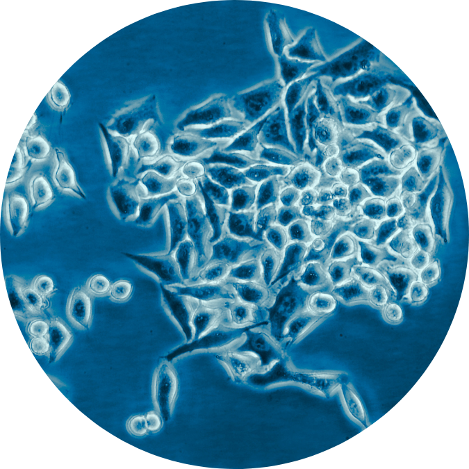 Research and regulatory compliance skin microbiome