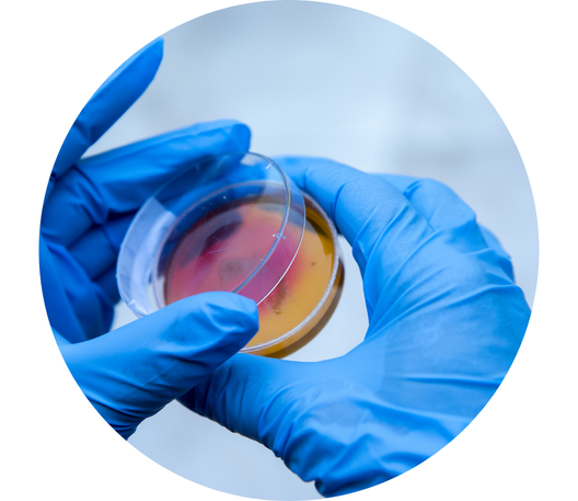 Laboratory technician performing genomic analysis, showcasing advanced scientific techniques for skincare and dermatological research