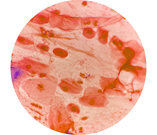 Skin - genomic and microbiome analysis for advanced skincare solutions