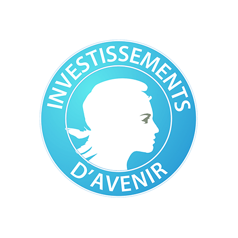 Logo Investissements d'avenir