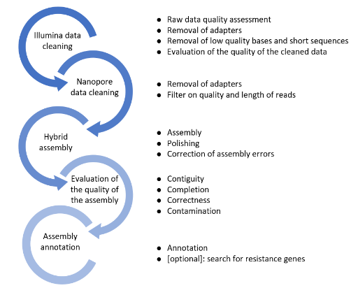 Bioinformatics reports: readability and clarity