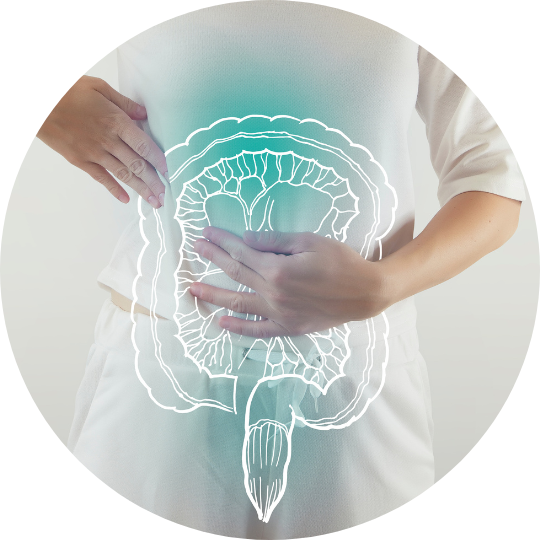 Microbiome cutané Application d'une crème