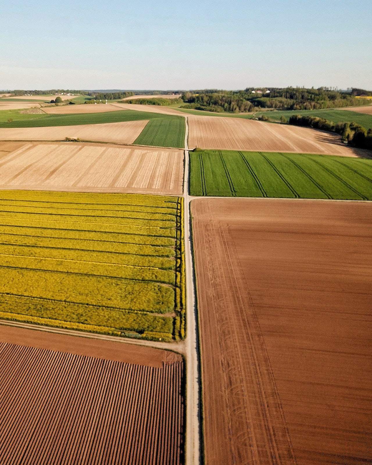 European Commission Proposal for a Directive on Soil Monitoring and Resilience{