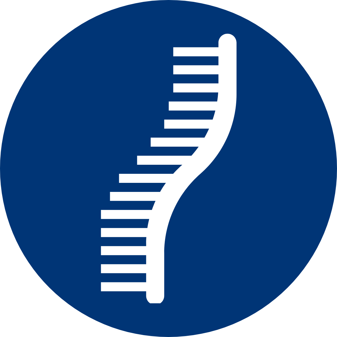 Réactions de séquençage