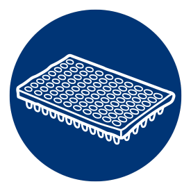 PCR amplification on the appropriate genomic target