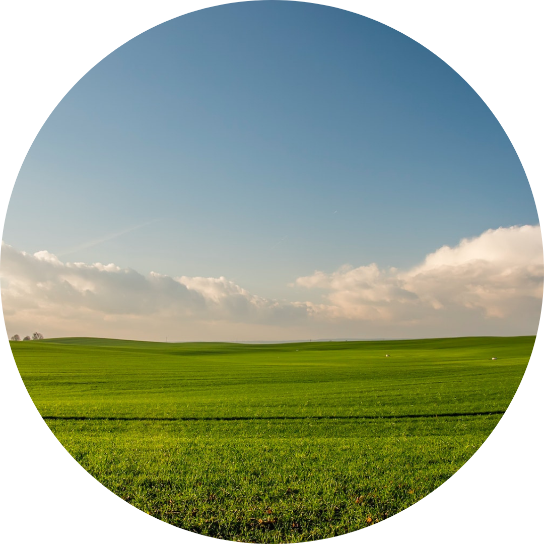 Soils microbiota